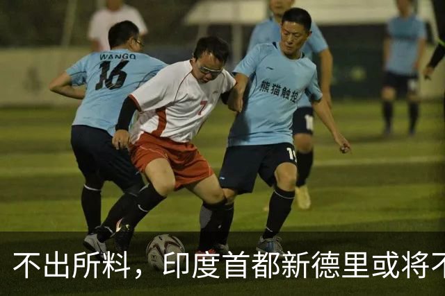 不出所料，印度首都新德里或将不宜居住！连蚊子都消失得无影无踪