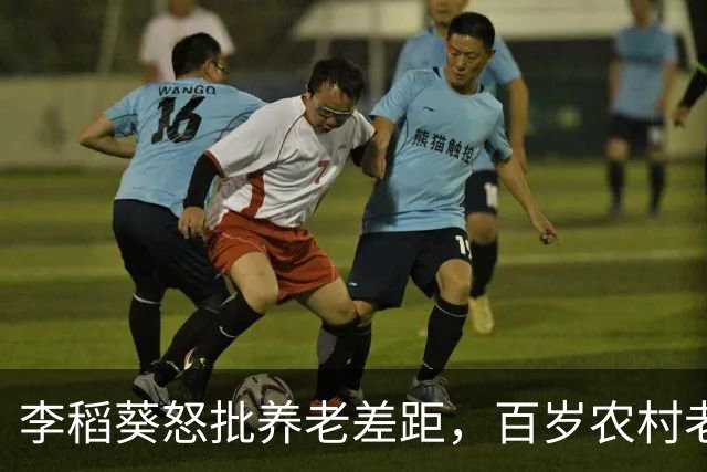 李稻葵怒批养老差距，百岁农村老人不该被时代辜负