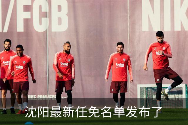 沈阳最新任免名单发布了
