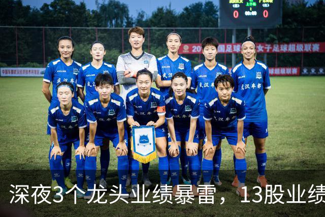 深夜3个龙头业绩暴雷，13股业绩大增，2个龙头增长超过10倍