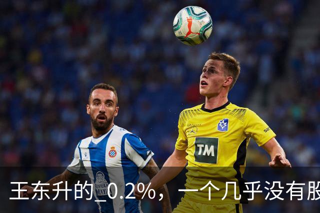 王东升的 0.2%，一个几乎没有股权的创始人，却三次上市敲钟