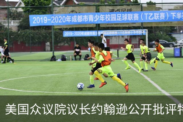 美国众议院议长约翰逊公开批评特朗普亲俄