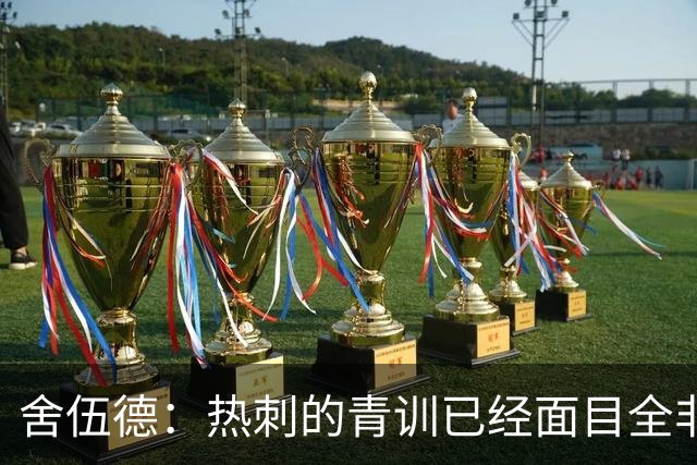 舍伍德：热刺的青训已经面目全非，他们辜负了年轻球员