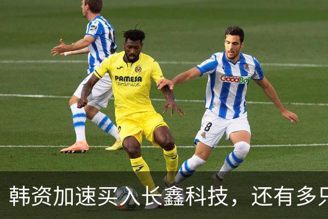 韩资加速买入长鑫科技，还有多只半导体龙头也获加仓