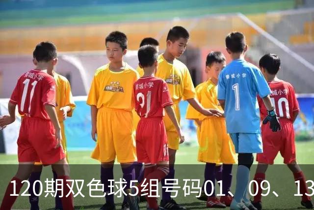 120期双色球5组号码01、09、13、21、27、31 + 16